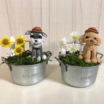 専用