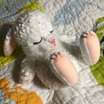 眠りウサギ