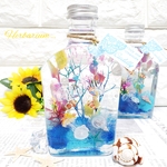 限定✧‧˚熱帯魚　ハーバリウム　₊✼̥୭*ˈ　海月　インテリア