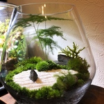 枯山水　苔テラリウム　オーダーメイド