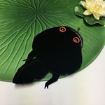 カエル おたまじゃくし がま口☆赤目さん☆
