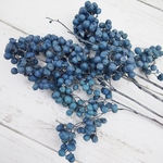 訳ありたっぷりペッパーベリー　20g！通常量×4倍！