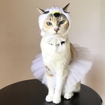♡猫の白鳥の湖セット♡
