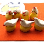 文鳥のかぶり物ぴよこ（白文鳥）
