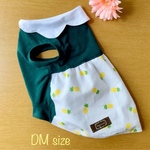 値下げ✨犬服！小型犬DMサイズ  花びら襟🍍パイナップル柄 バルーンワンピース(胴長) 2,200円→2,000円
