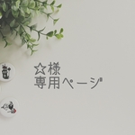 ☆様　専用