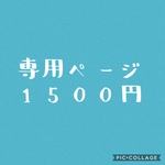 専用イラストオーダー
