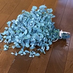 お花屋さんが作ったフレッシュユーカリの特大スワッグです‼️