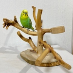 自然木（カイヅカイブキ）卓上ミニバードジム【セキセイインコ・オカメインコ・】バードアスレチック・鳥とまり木