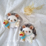 ハリネズミんダーク♡海に行く