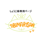専用ページ
