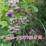 ange-p1007様オーダー品