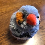 小鳥ぽんぽん ♡キンカチョウ♡ 【受注製作】