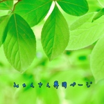 専用ページ