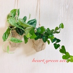 heart green set『スキンダプサス&ハートアイビー』壁掛けインテリア 観葉植物(No.369)