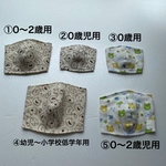 兄弟　男の子用　立体マスク　ダブルガーゼ　インナーマスク　2枚セット　カエル