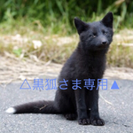 黒狐さま専用