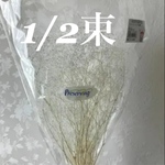 ホワイトラメ  ソフトミニかすみ草  プリザーブドフラワー  1/2束