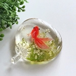 水うちわ～野に咲く夏の花