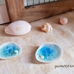 再販×20 .·*·⋆.海をすくった貝殻.·*⋆.　　インテリア　オブジェ