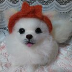 (bubuchan1215様専用ページ)チワワちゃん