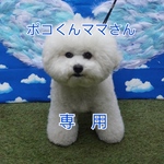 ポコくんママさん専用ページ