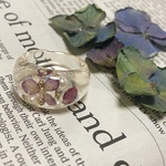 紫陽花クリアリング