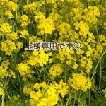 イヤリング3点