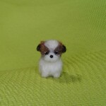 19・・・さまお取り置き品 シーズー ゴールド&ホワイト  パピー 羊毛フェルト