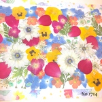 ♡new♡  ♡可愛い押し花セット♡ ♡たくさん入って使いやすい押し花セット♡