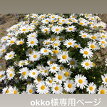 okko様専用ページ