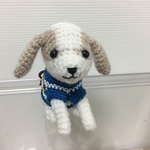 おすわりキャバリア