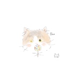 専用ページ