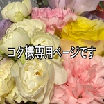 可愛いハシビロコウ柄のマスク