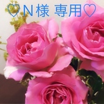 Ｎ様 専用