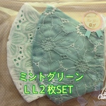  L Lミントグリーン２枚SET