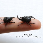 ミニチュアカブトムシ（オス・メス）と飼育セット