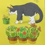 A4原画（23）サボテンと猫のイラスト  絵 絵画 アート 手描き