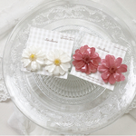 花かんざしとかすみ草のドライフラワーブーケ