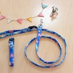 【犬用】カラーとリードのセット