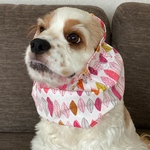ナチュラル葉っぱ❤︎ピンク　中型犬用スヌード　犬用スヌード