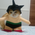 ニャトム