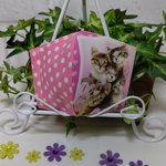 🌴夏仕様   動物バレリーナ柄マスク    baby～園児用