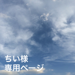 ちい様専用ページ