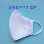 【hahariri様専用ページ】接触涼感 通気メッシュ 夏立体マスク