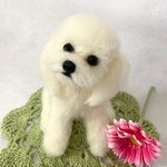 羊毛フェルト　犬　マルチーズ