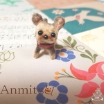 モールちびわんこ　ヨークシャーテリア