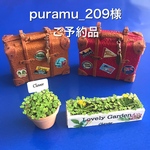 ミニチュアトランク（赤1と茶1）とミニチュアクローバー2種（合計4つ）