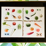 《送料込み》食育教材『旬の野菜と果物ボード』〜食育グッズ〜A4マグネット式