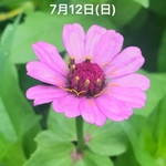 ma様オーダー4作品